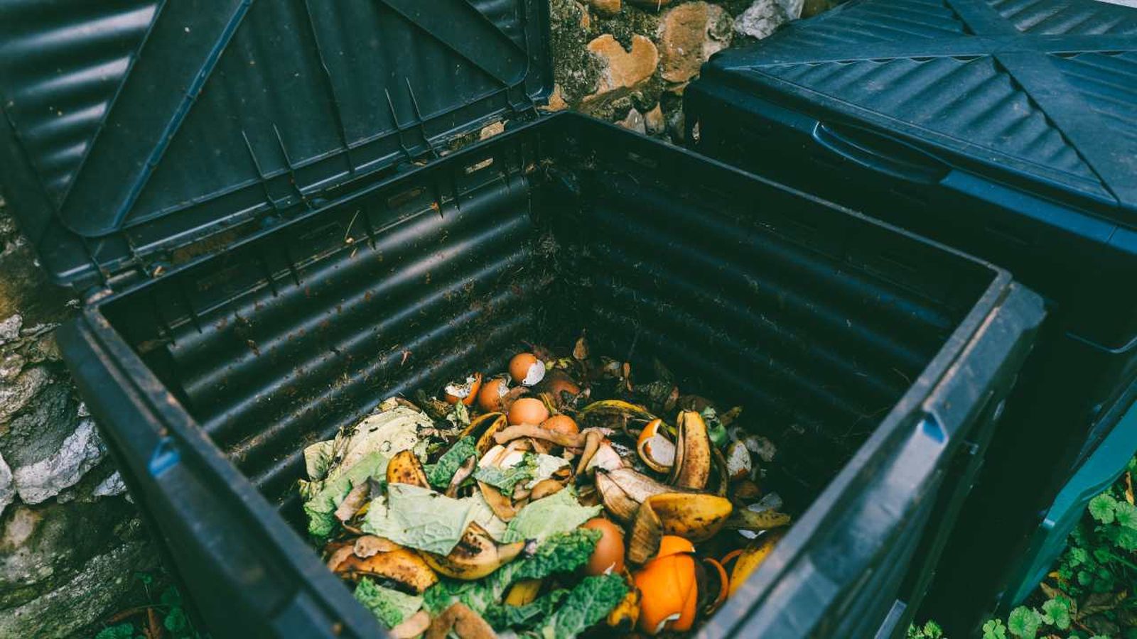 compostera amazon xl