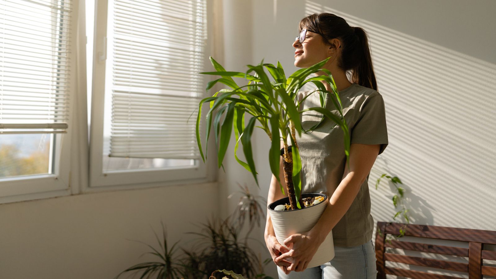 razones deberias tener plantas interior jardinatis