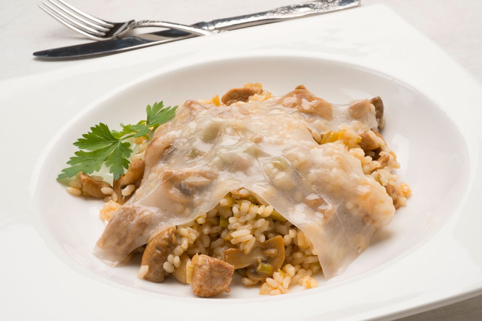 5400 Arroz con cerdo al Jerez (785) xl