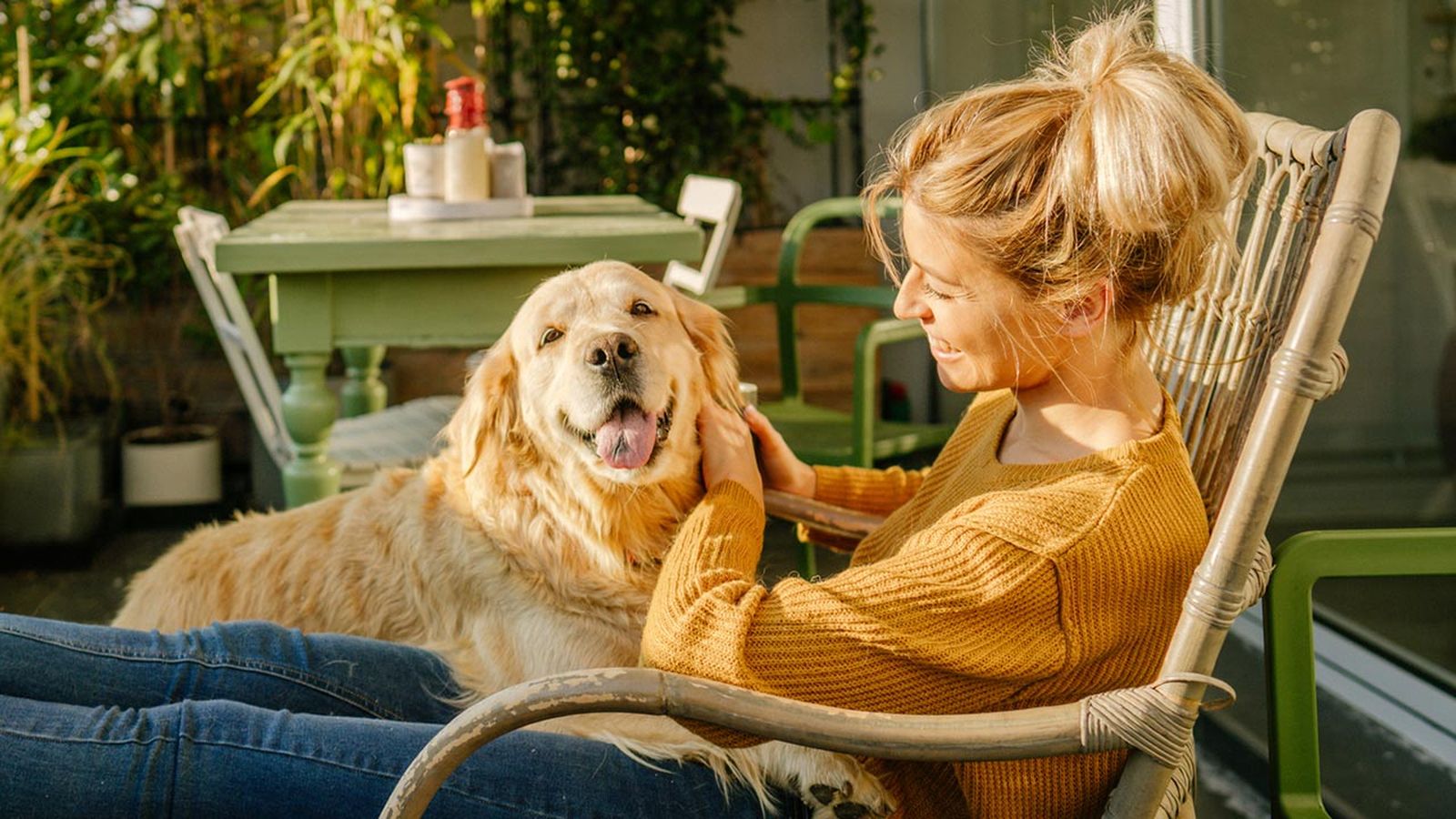 nutrientes necesarios pelo perro 2