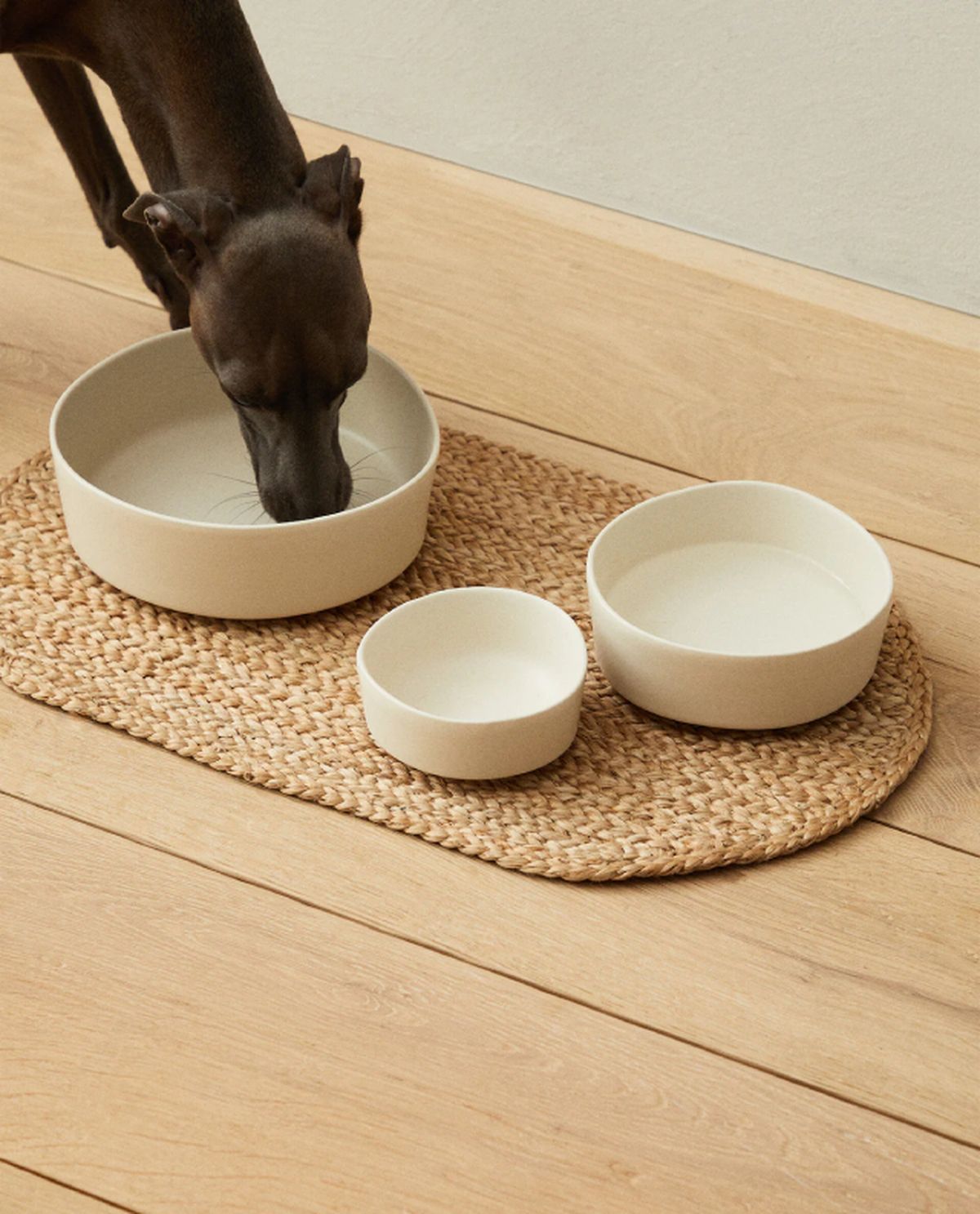 alfombra yute mascota