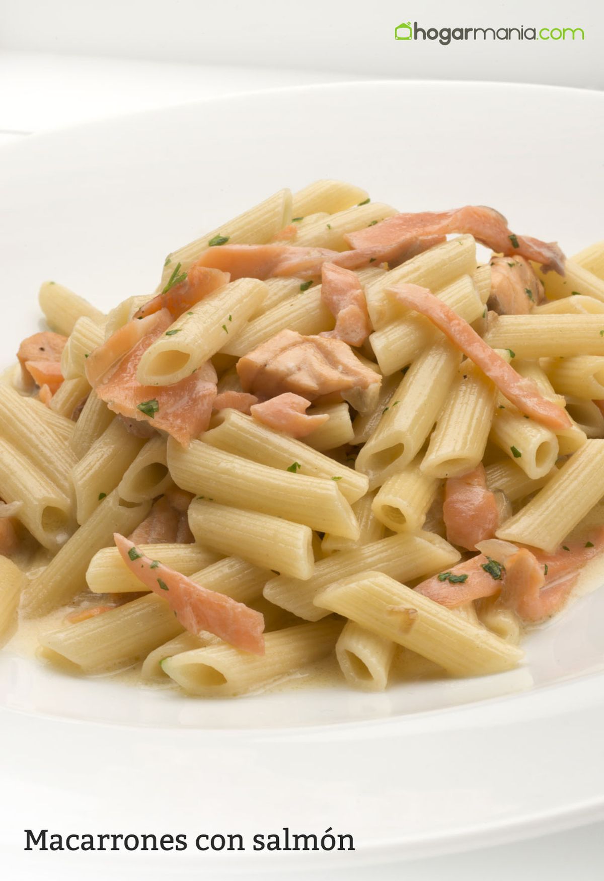 6056 1 Macarrones con salmon vertical xl