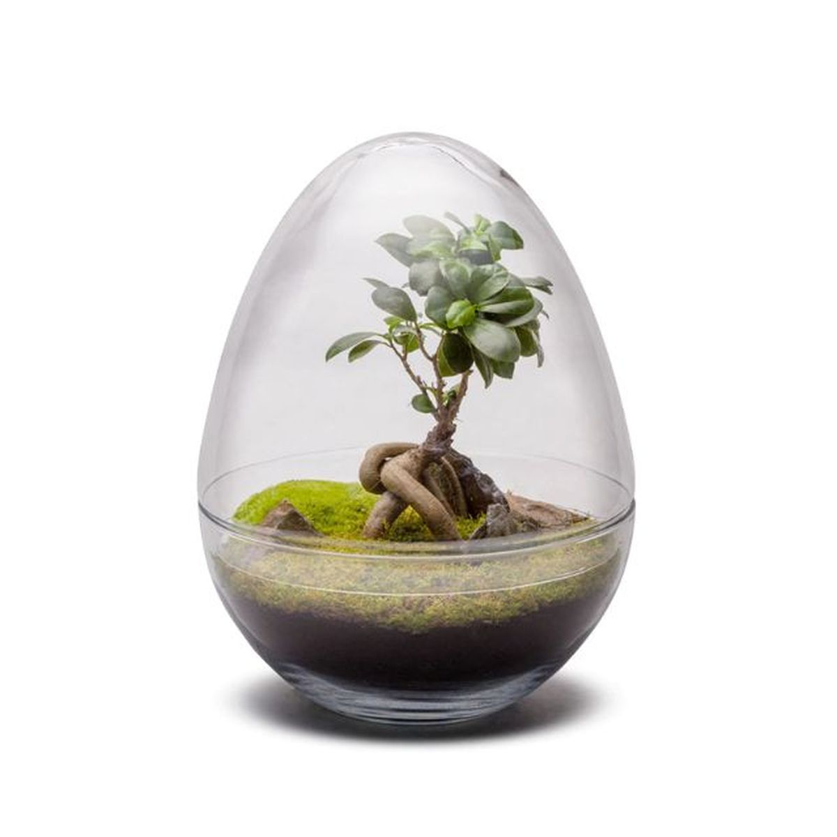 naturalys el corte ingles 1