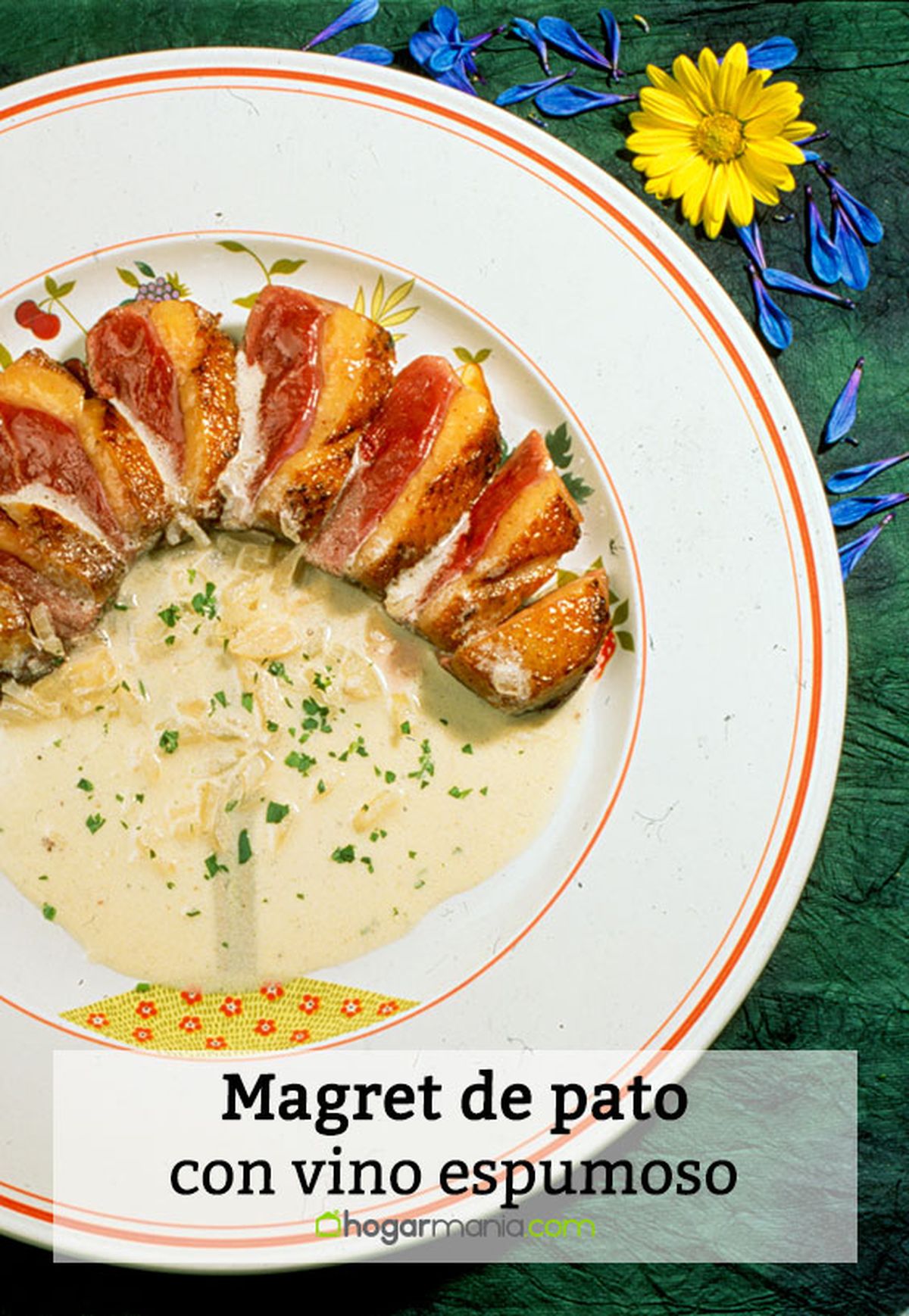 036 2 magret pato vino espumoso pin