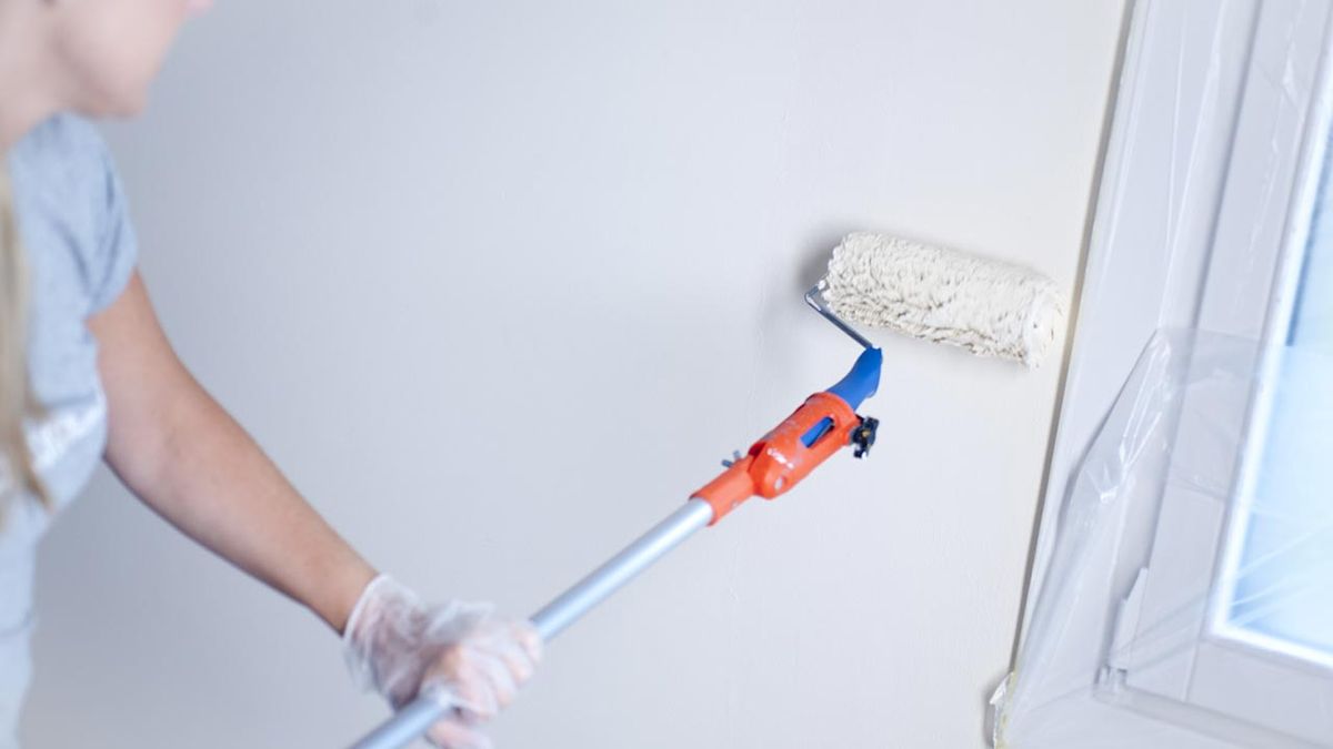 Bricomania 706 Pintura al agua p2