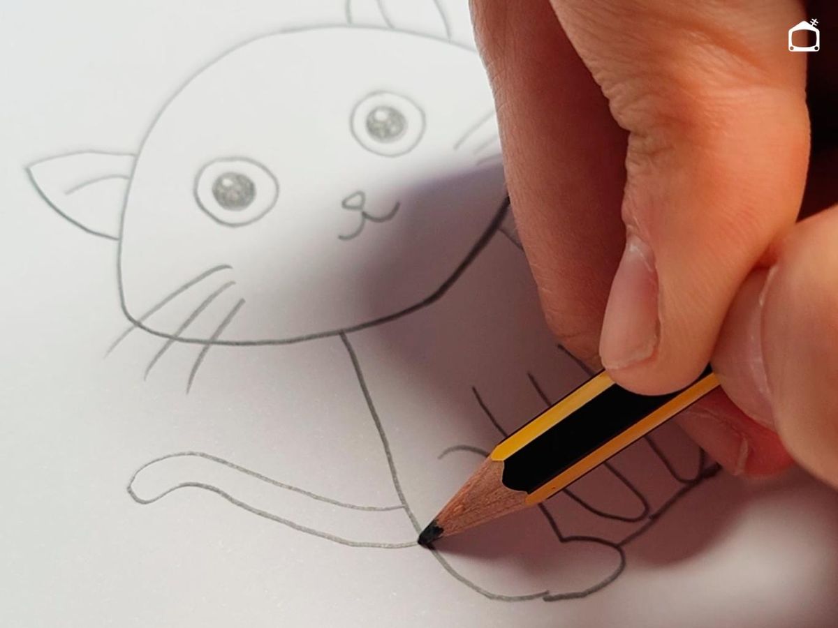Quinto paso para dibujar un gato.