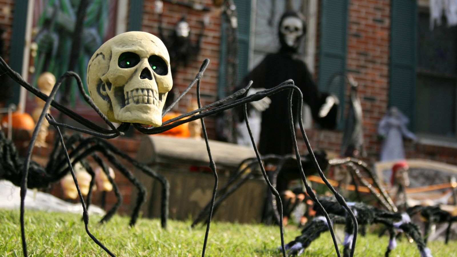 aranas halloween