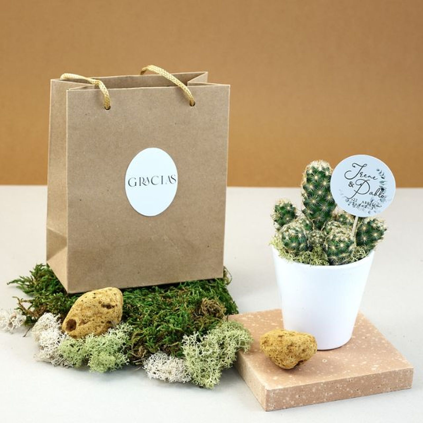 cactus en maceta con eqtiqueta de bodas mirandagreen