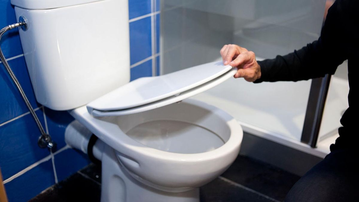 Bricomania 720 Adaptadores para inodoro p2