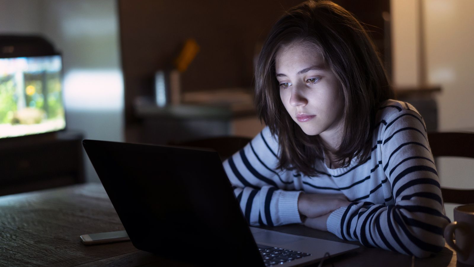 como prevenir el ciberacoso portada