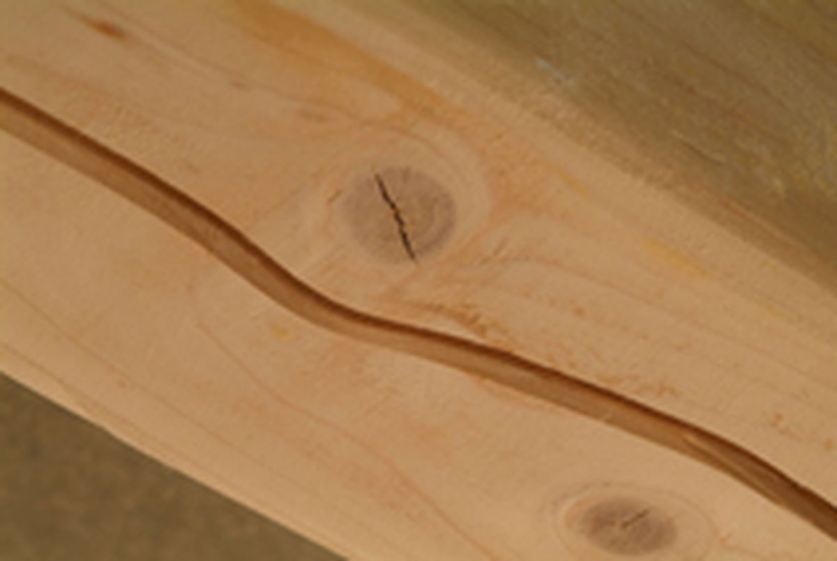 Relleno de huecos, grietas y venas en madera 1