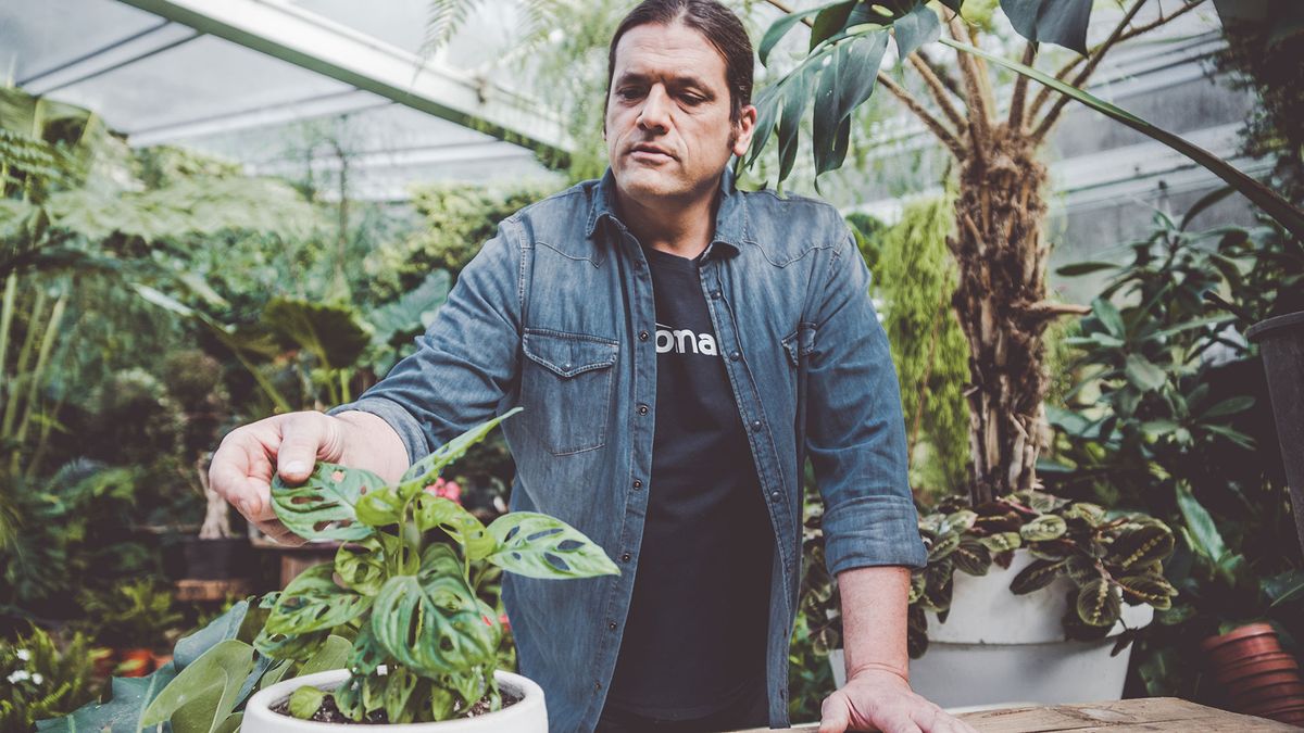 978 costilla adan xl