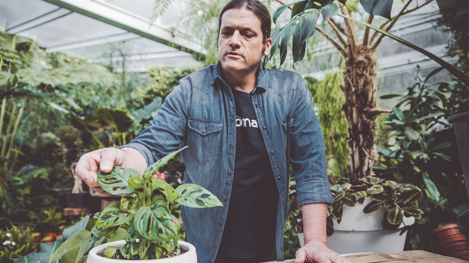 978 costilla adan xl