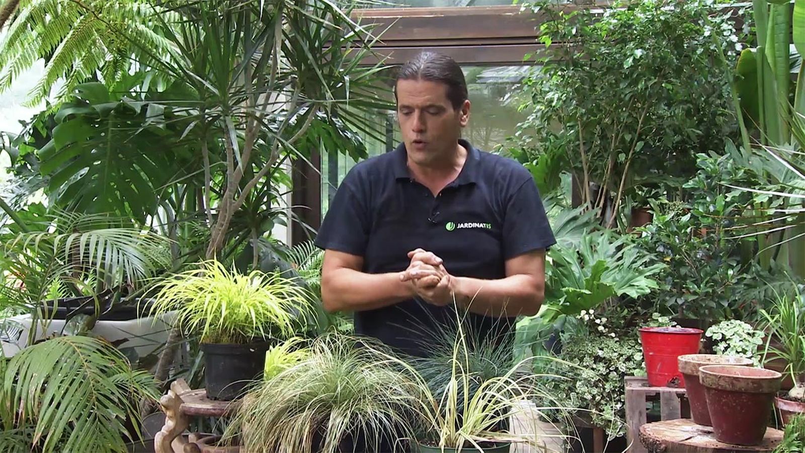 brico 1036 jardin variedades de gramineas