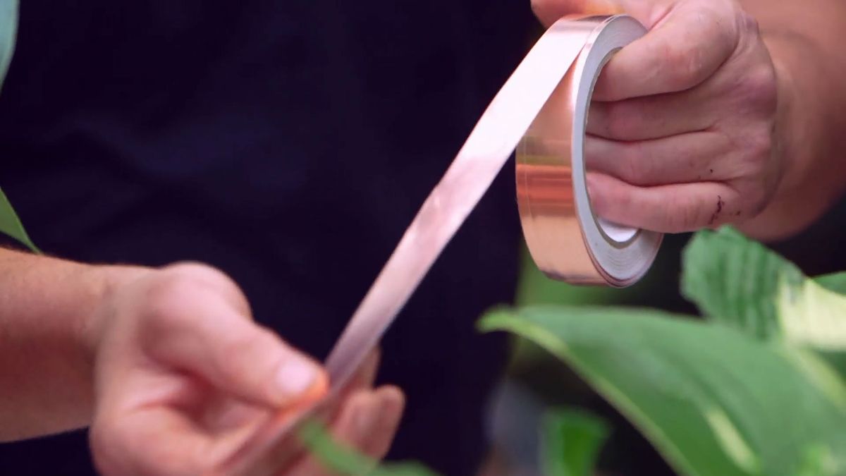 bBrico 953 3 cinta cobre plaga caracoles hostas cinta cobre