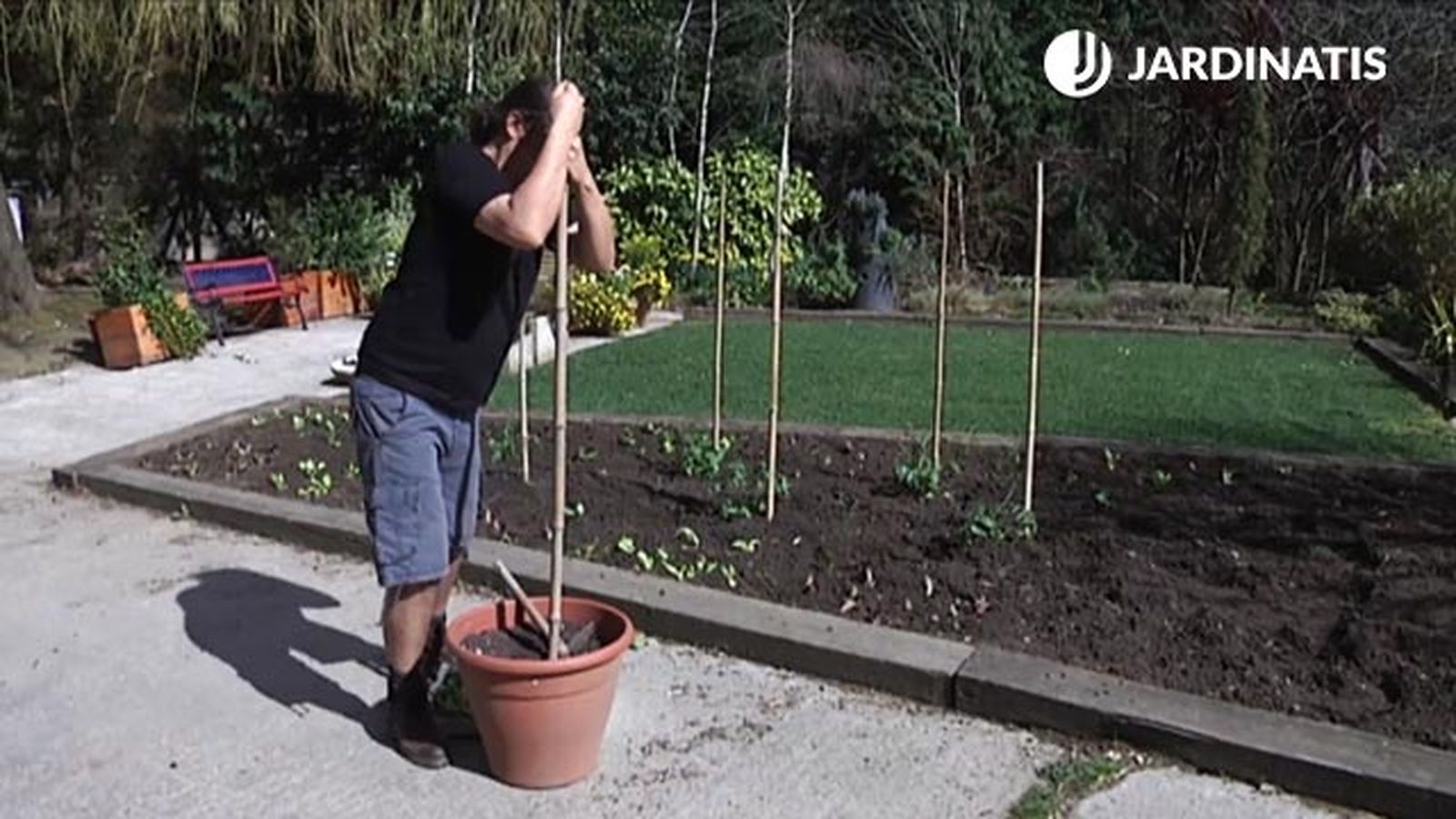 guia para plantar tomates en macetero brico 746