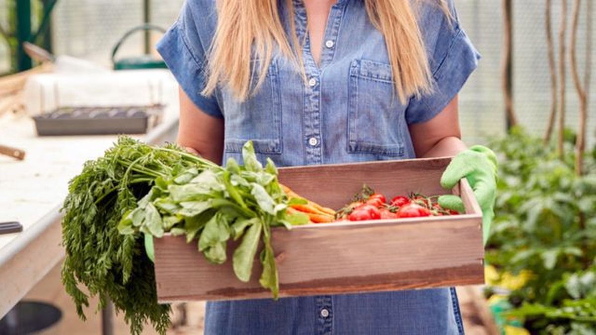 caja de vino como bandeja huerta