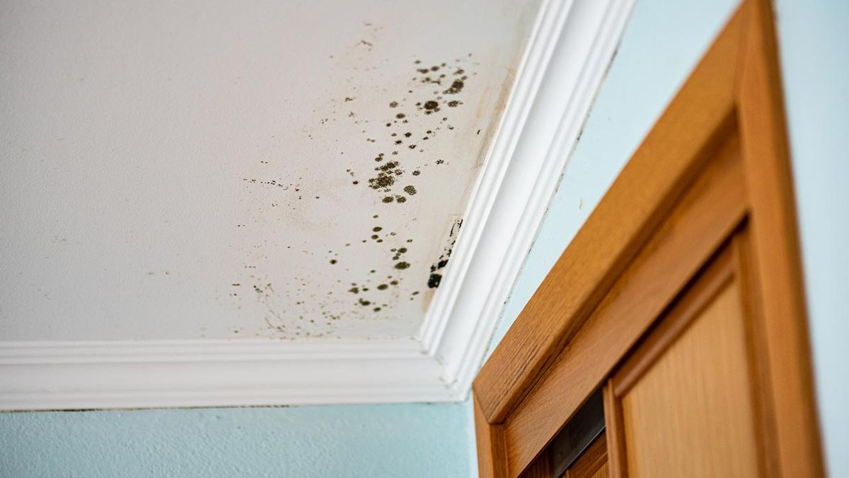 remedios antihumedad que puedes aplicar en casa