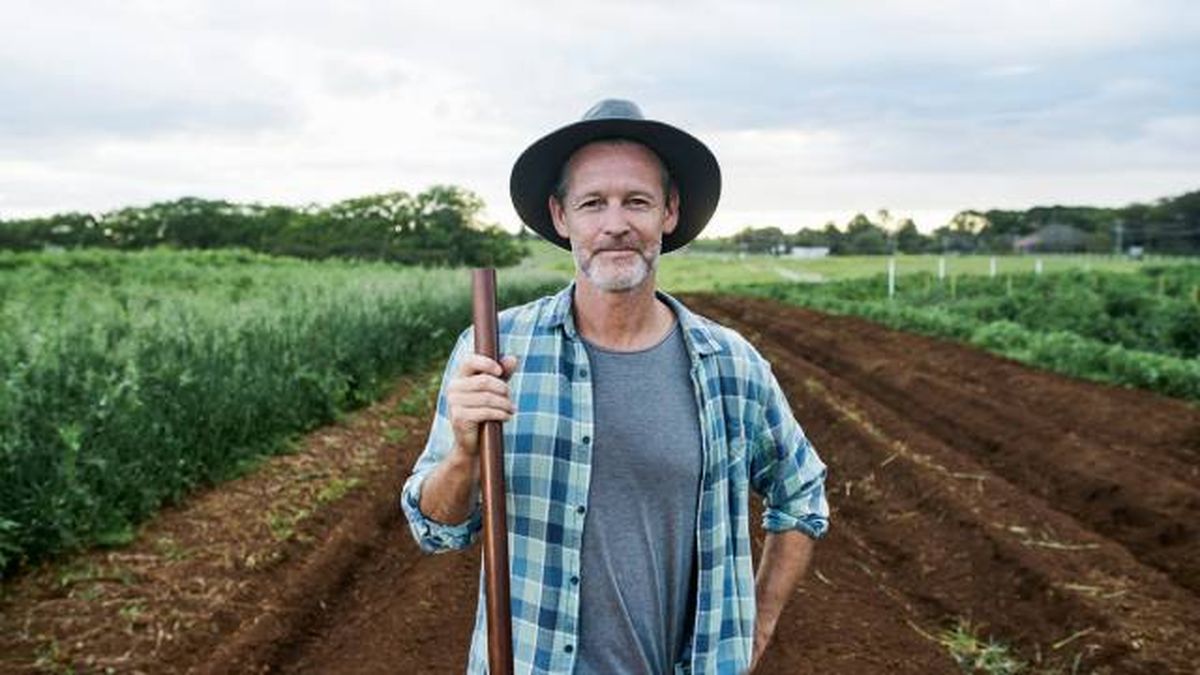 Que es la rotacion de cultivos