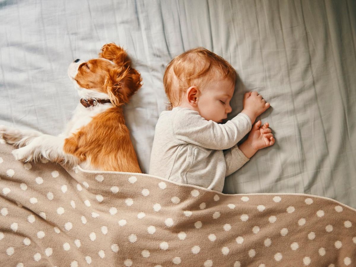 Bebé durmiendo plácidamente con un perro en la cama.