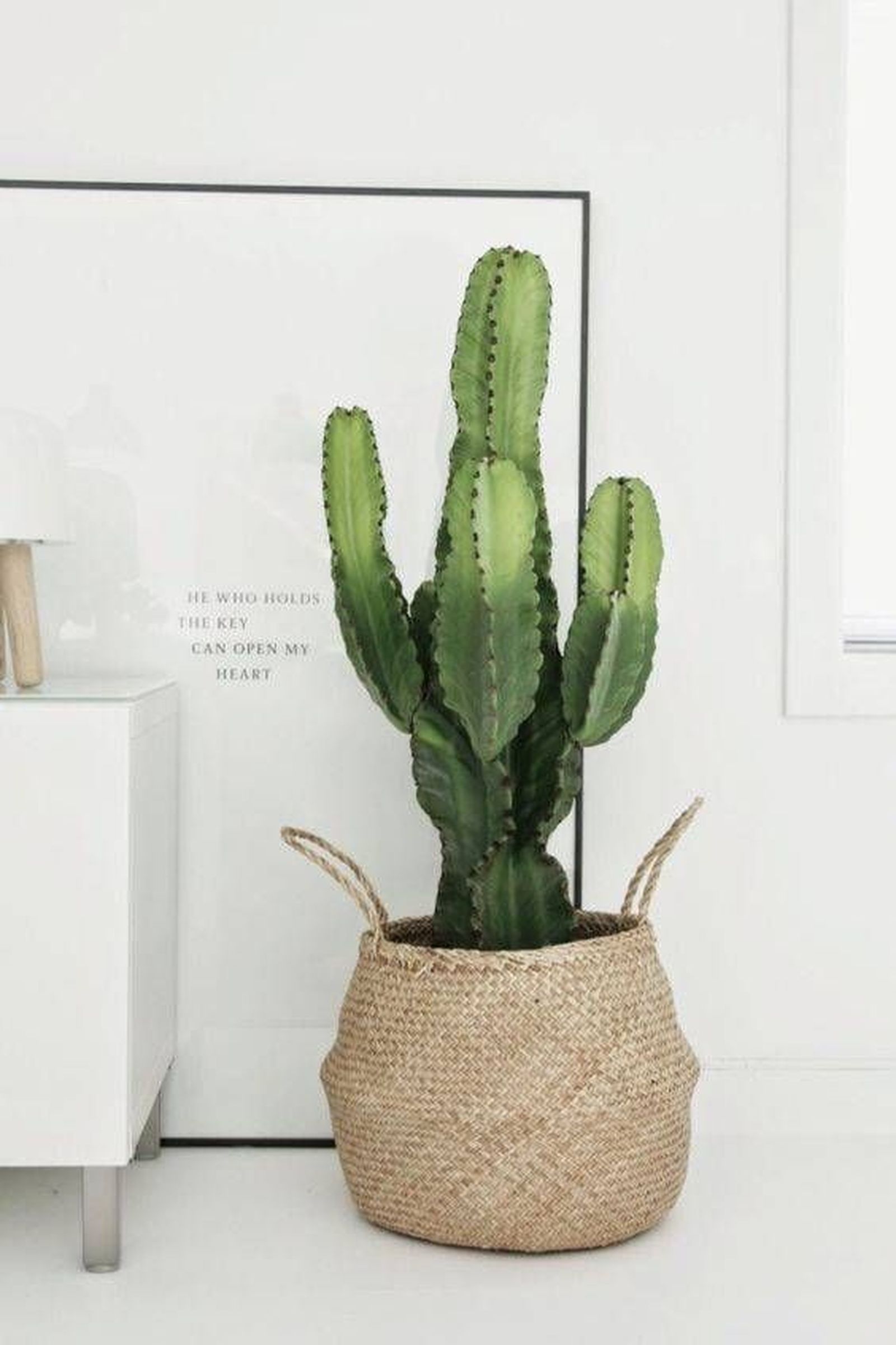 dormitorio pequeno encanto plantas pinterest 2