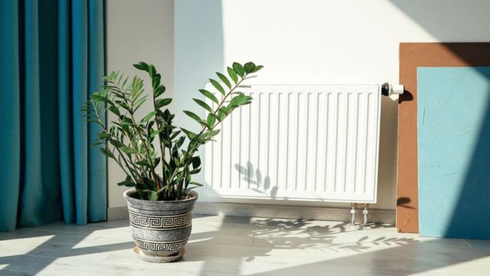como afecta la calefaccion a las plantas de interior