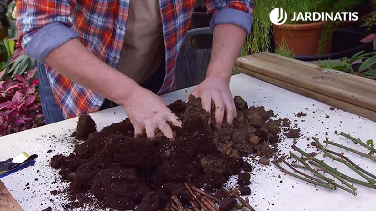 decogarden 645 esquejes hortensias rosales mezcla sustrato