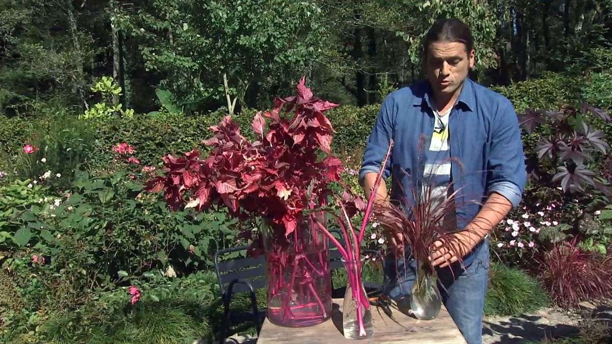 deko0706 jardin otono tonos rosas composicion floral pennisetum