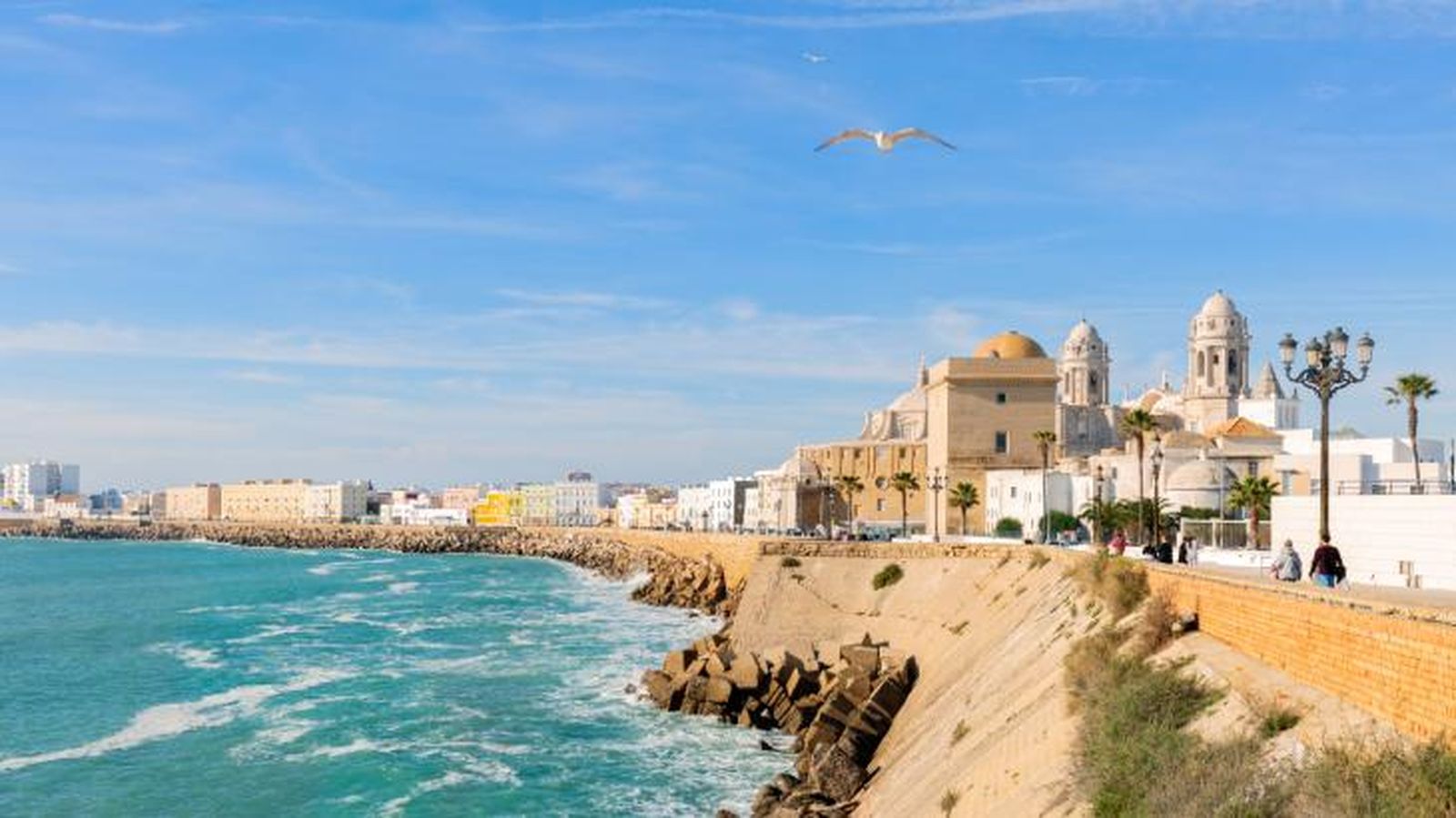 viajar con perro en el puente de diciembre cadiz
