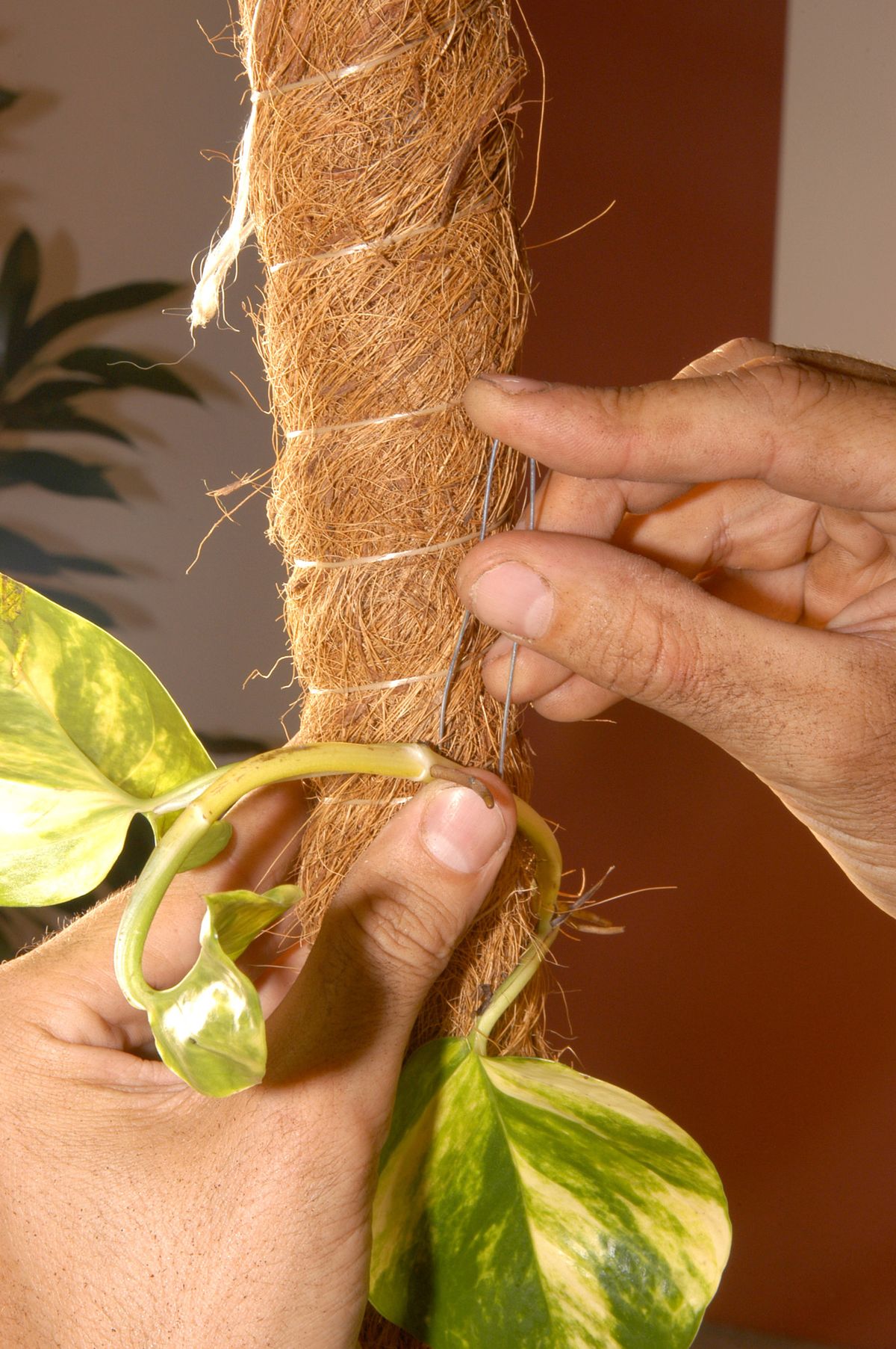 Convertir poto colgante en poto vertical p6