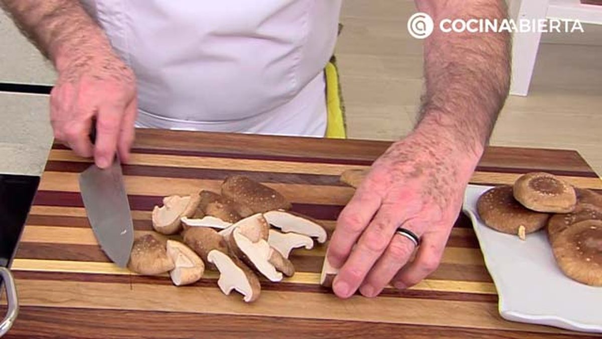 karl6917 conejo setas p3