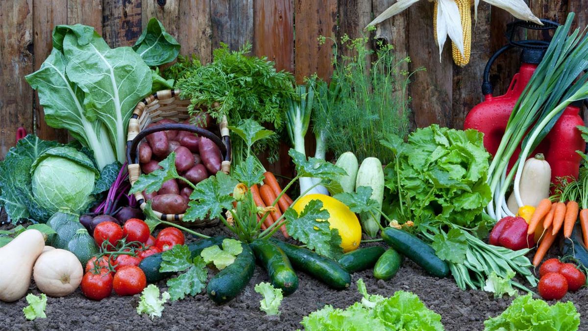 agricultura ecologica que es