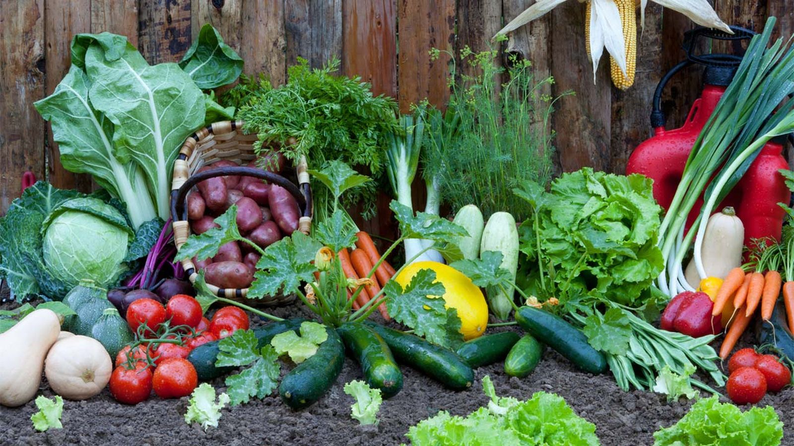 agricultura ecologica que es