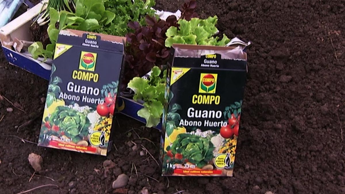 como instalar invernadero en la huerta abono natural guano brico 621