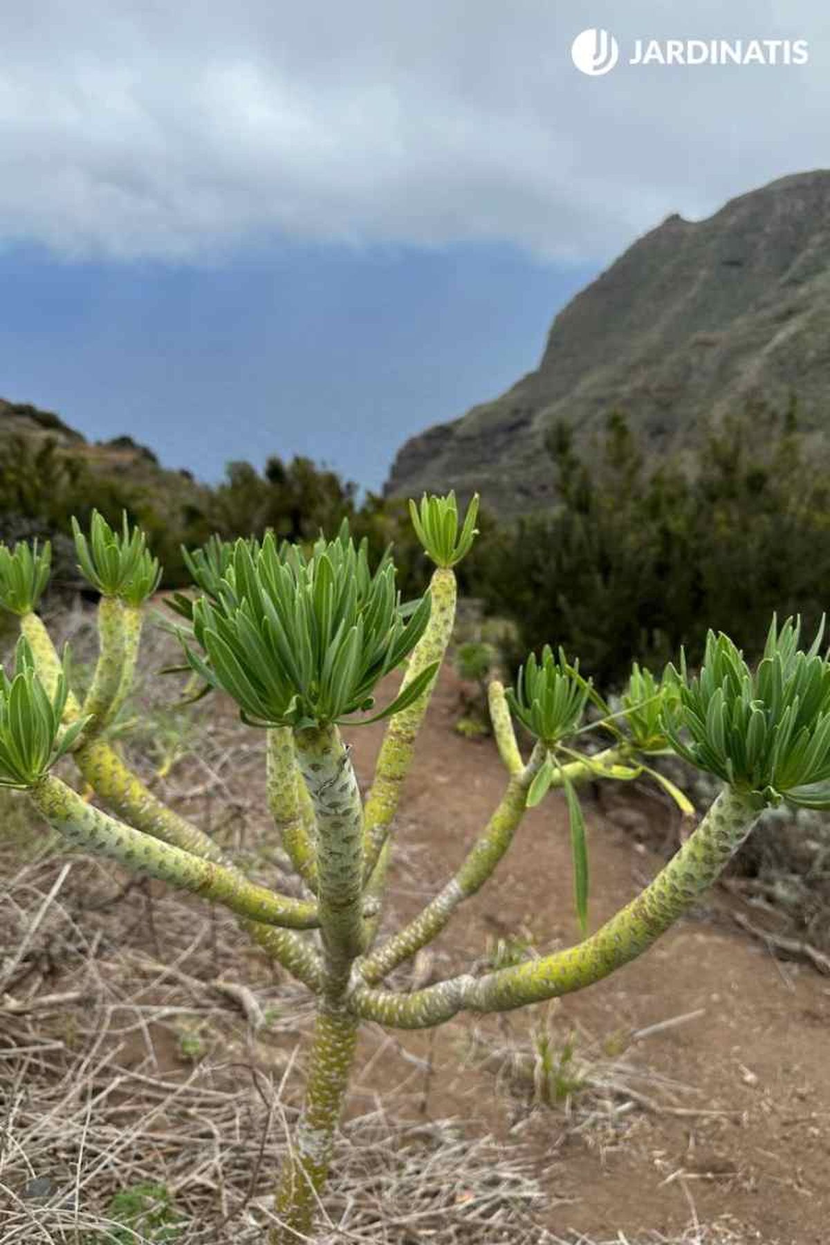 Parque Rural de Anaga