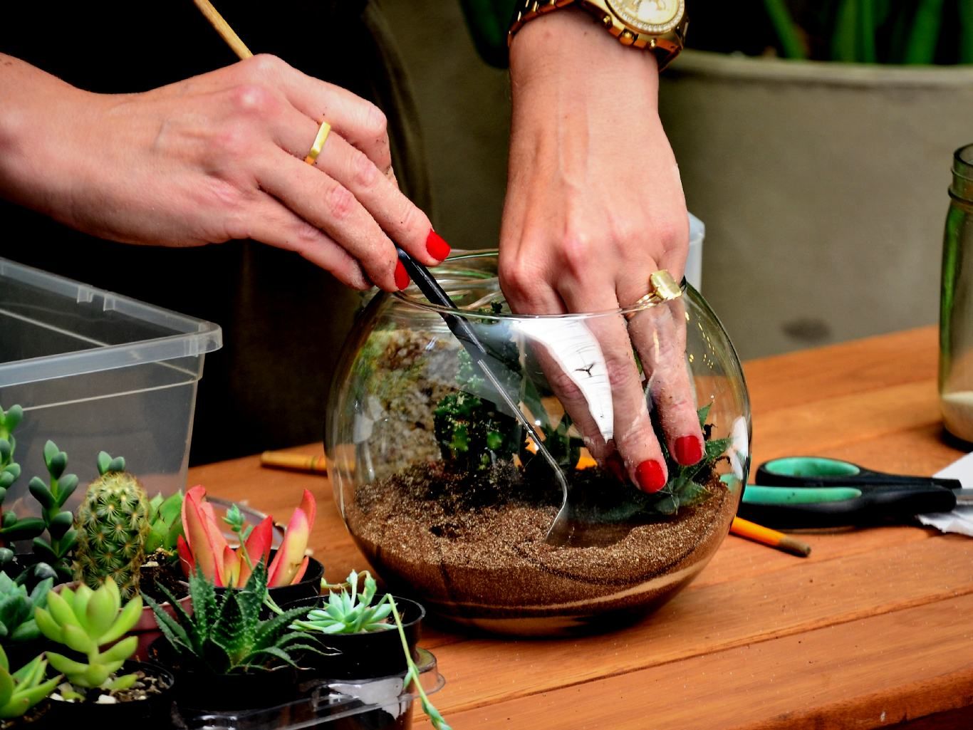 Colocar las plantas en la tierra