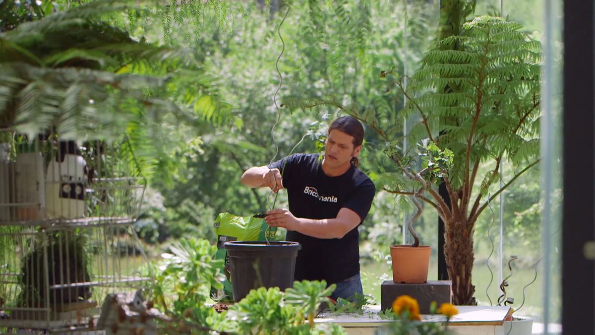 brico 915 3 tronco espiral paso 3