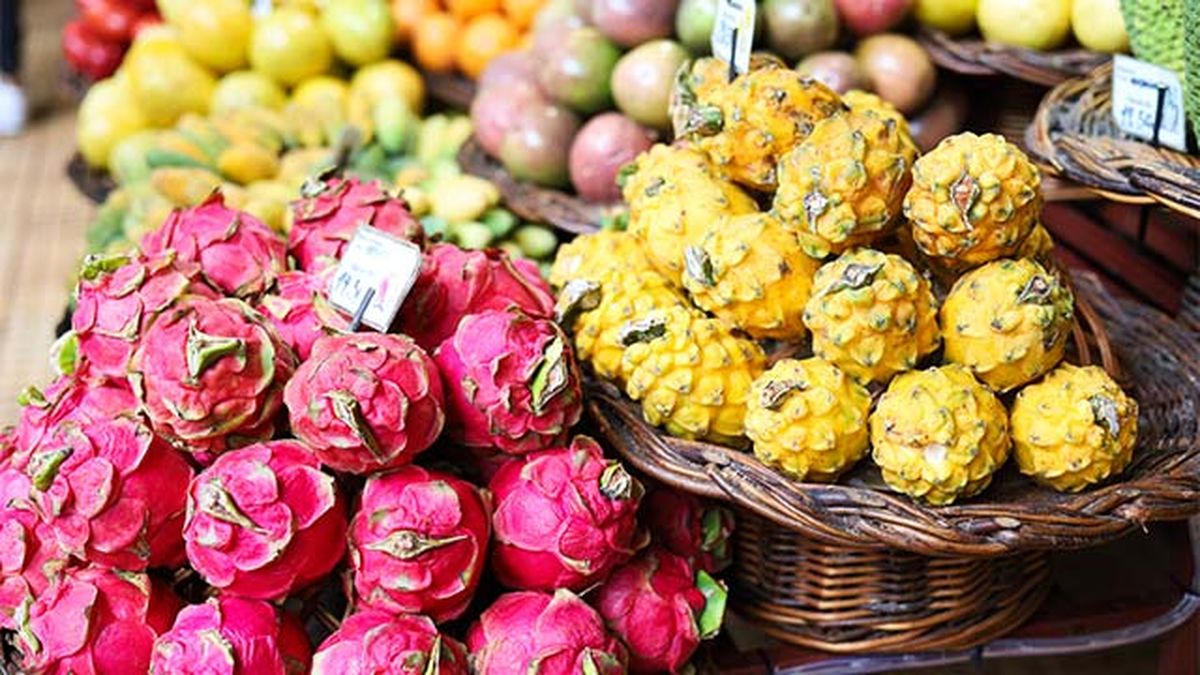 Tipos de fruta del dragón: Pitahaya roja y pitahaya amarilla