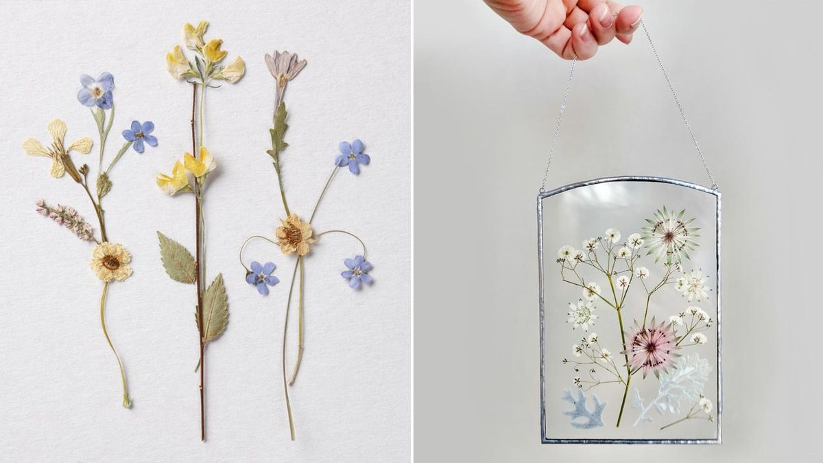 marco con flores hojas secas regalo