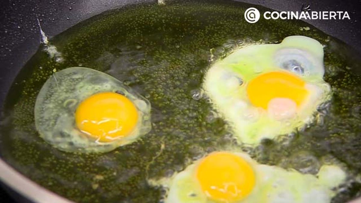 karl6905 magras fritada p4