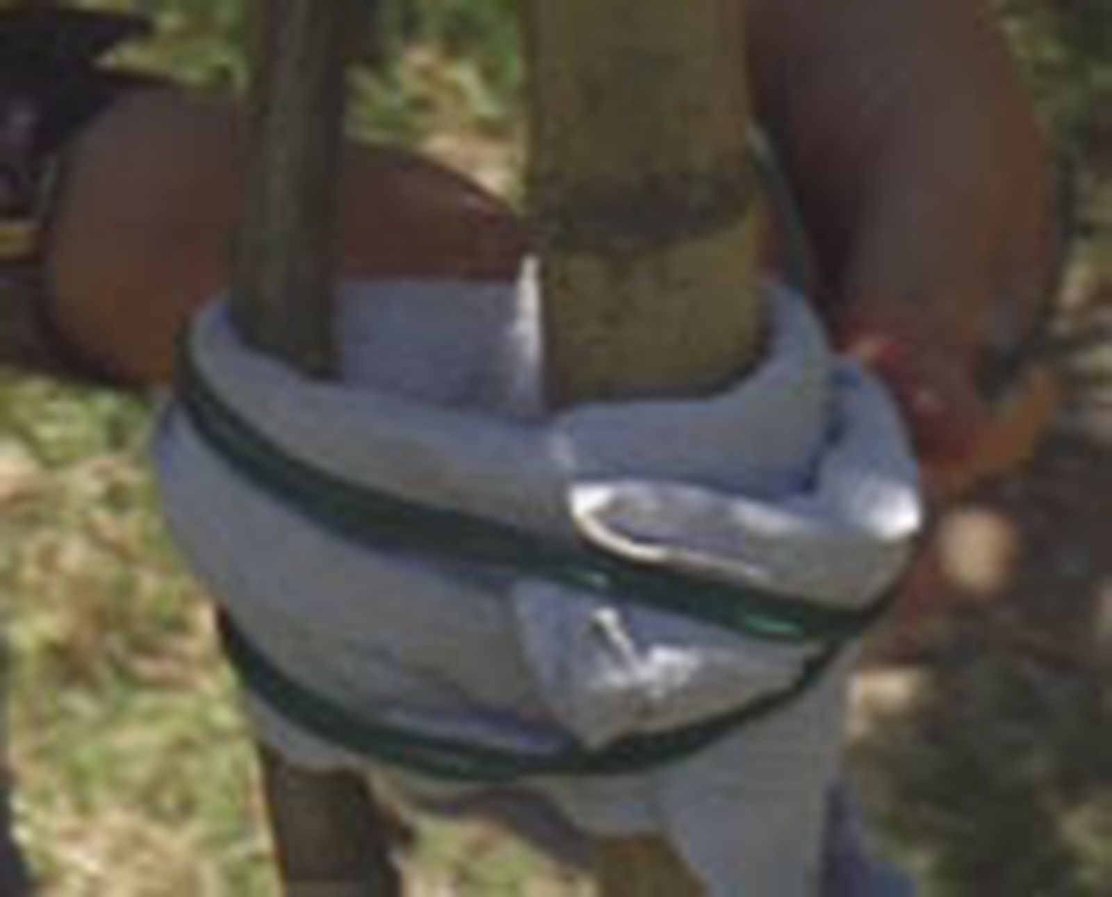 entutorar naranjo p03