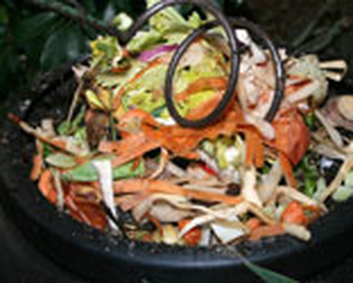 compost m