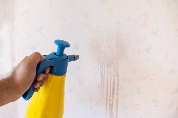 quitar papel pintado agua
