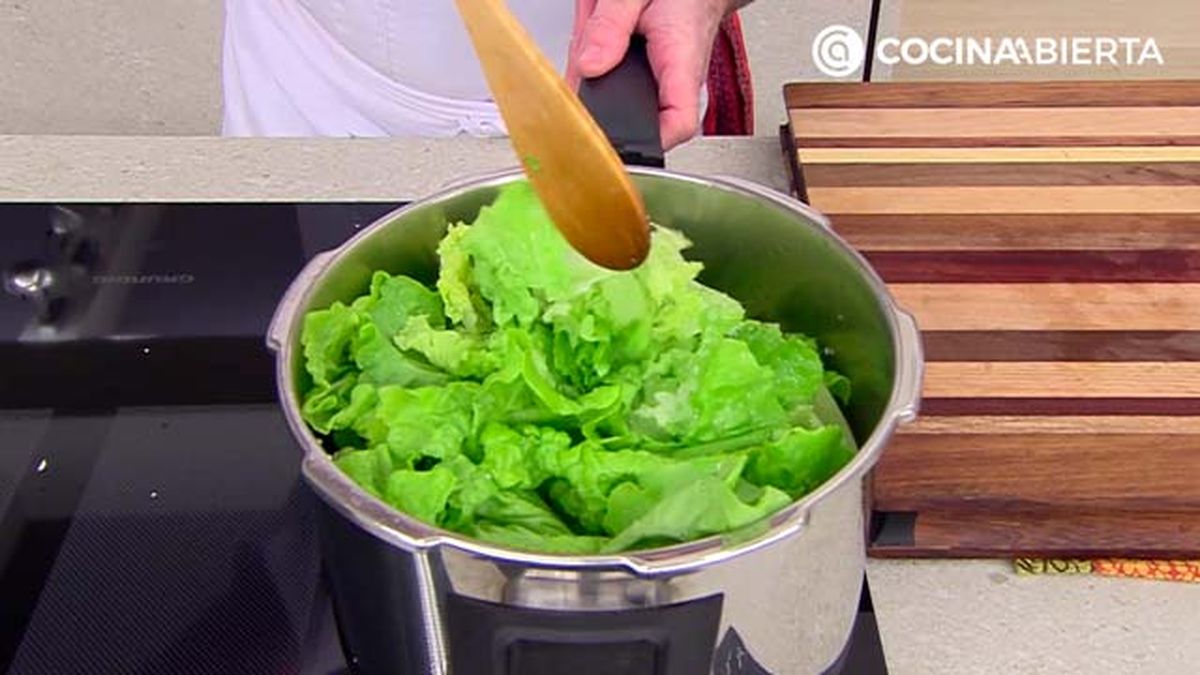 KARL6940 crema lechuga p2