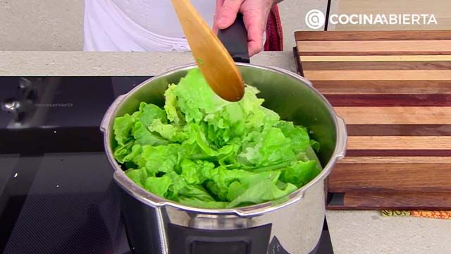 KARL6940 crema lechuga p2