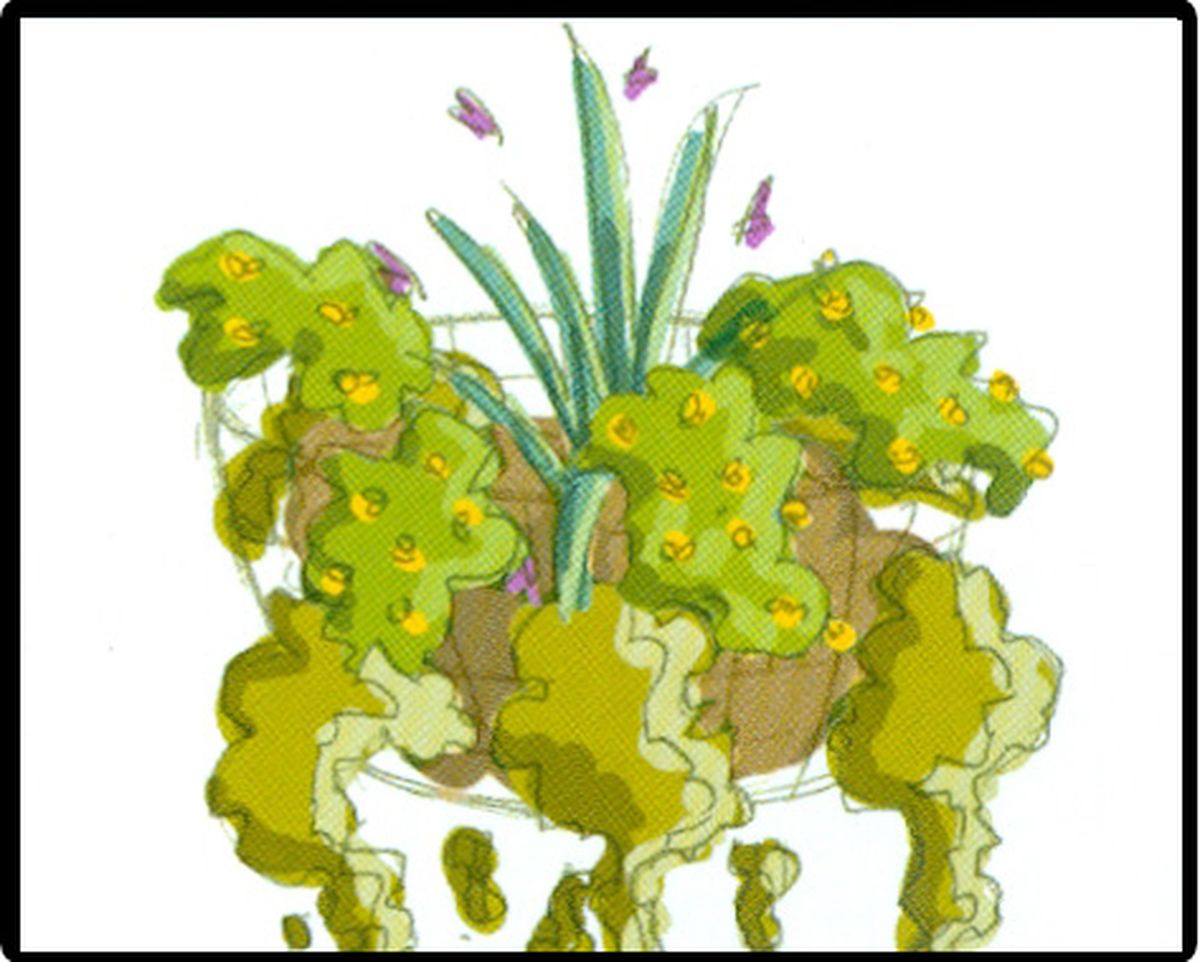 Esquema de plantación 8