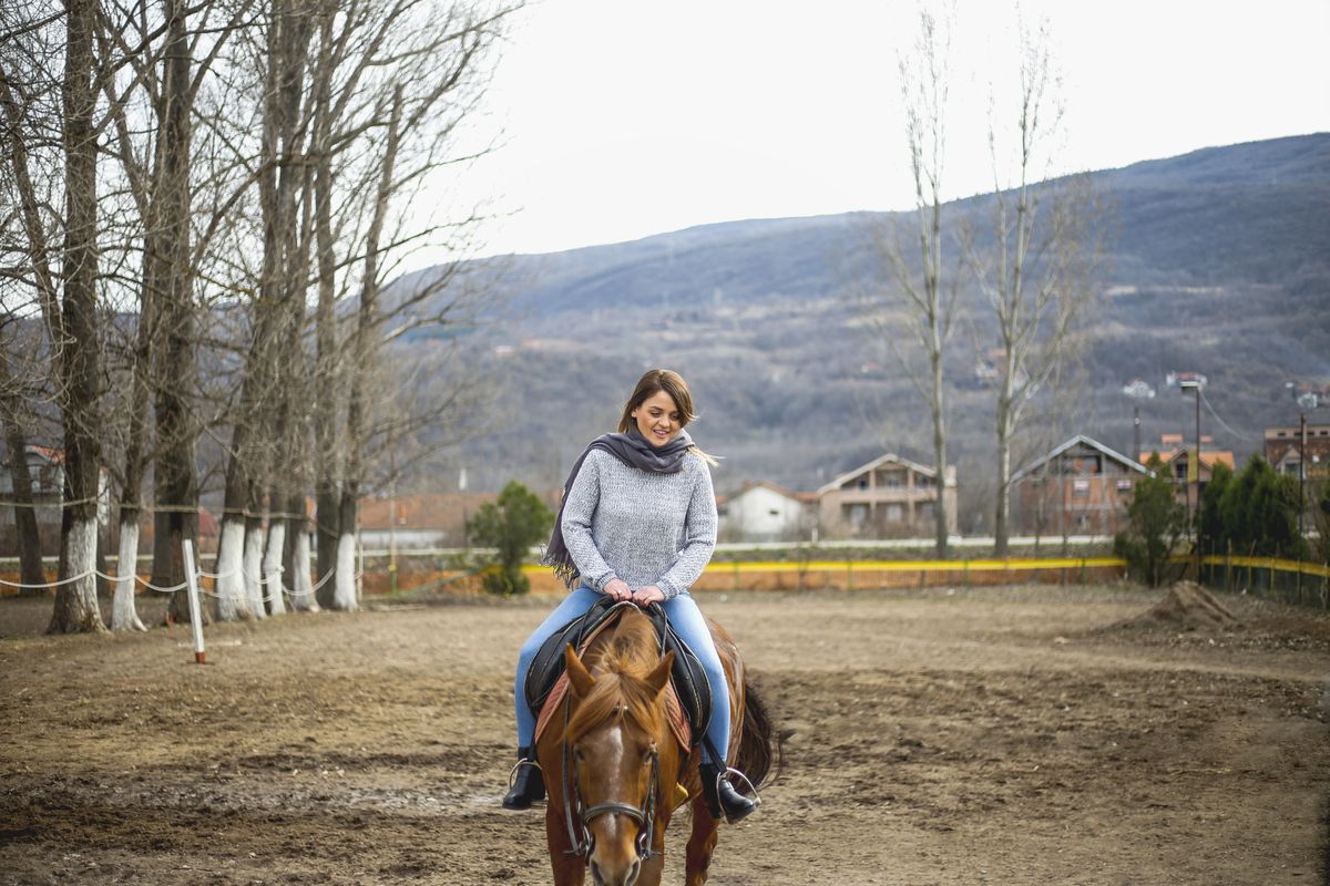caballo de varias personas