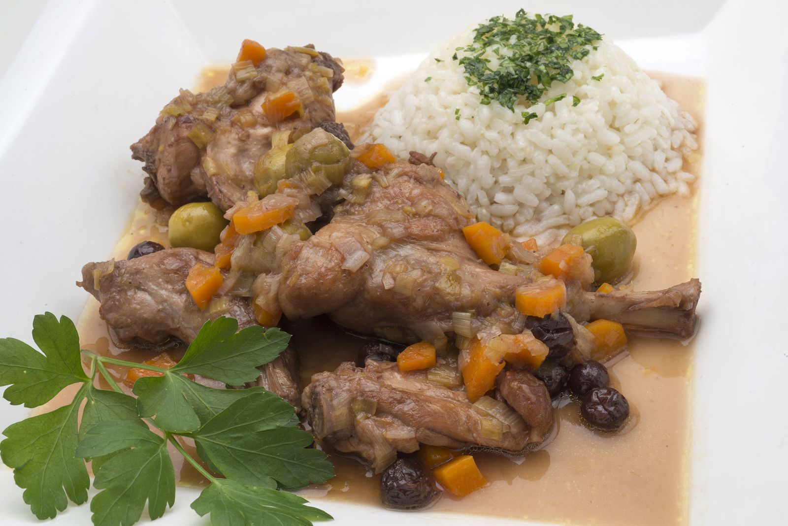 5923 1 Conejo en salsa con arroz blanco (1309) xl