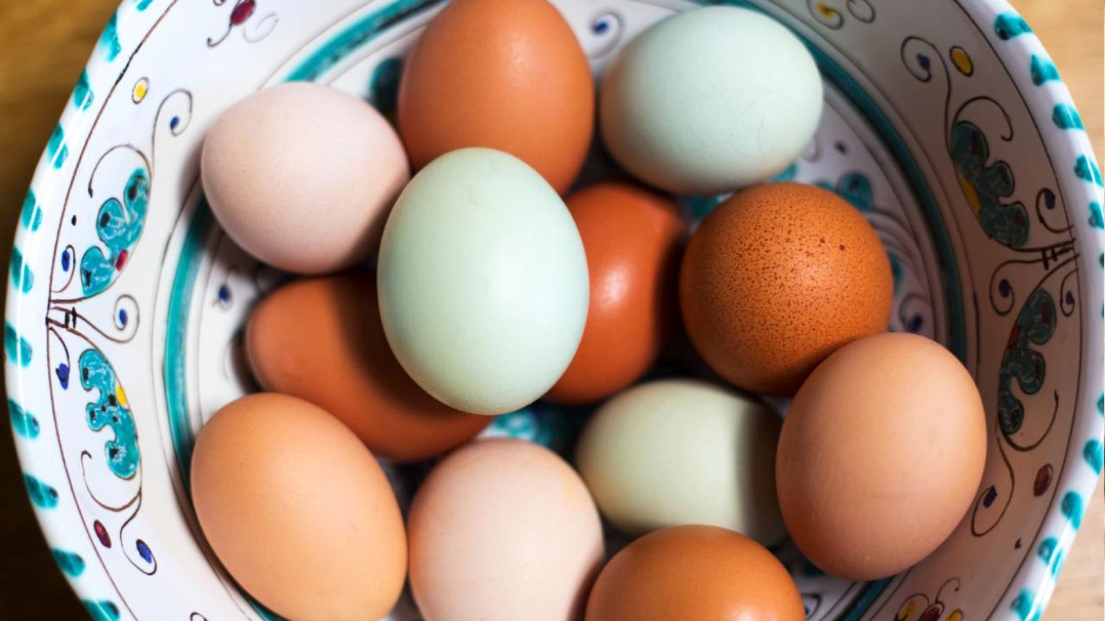 huevos azules gallina huevos comunes