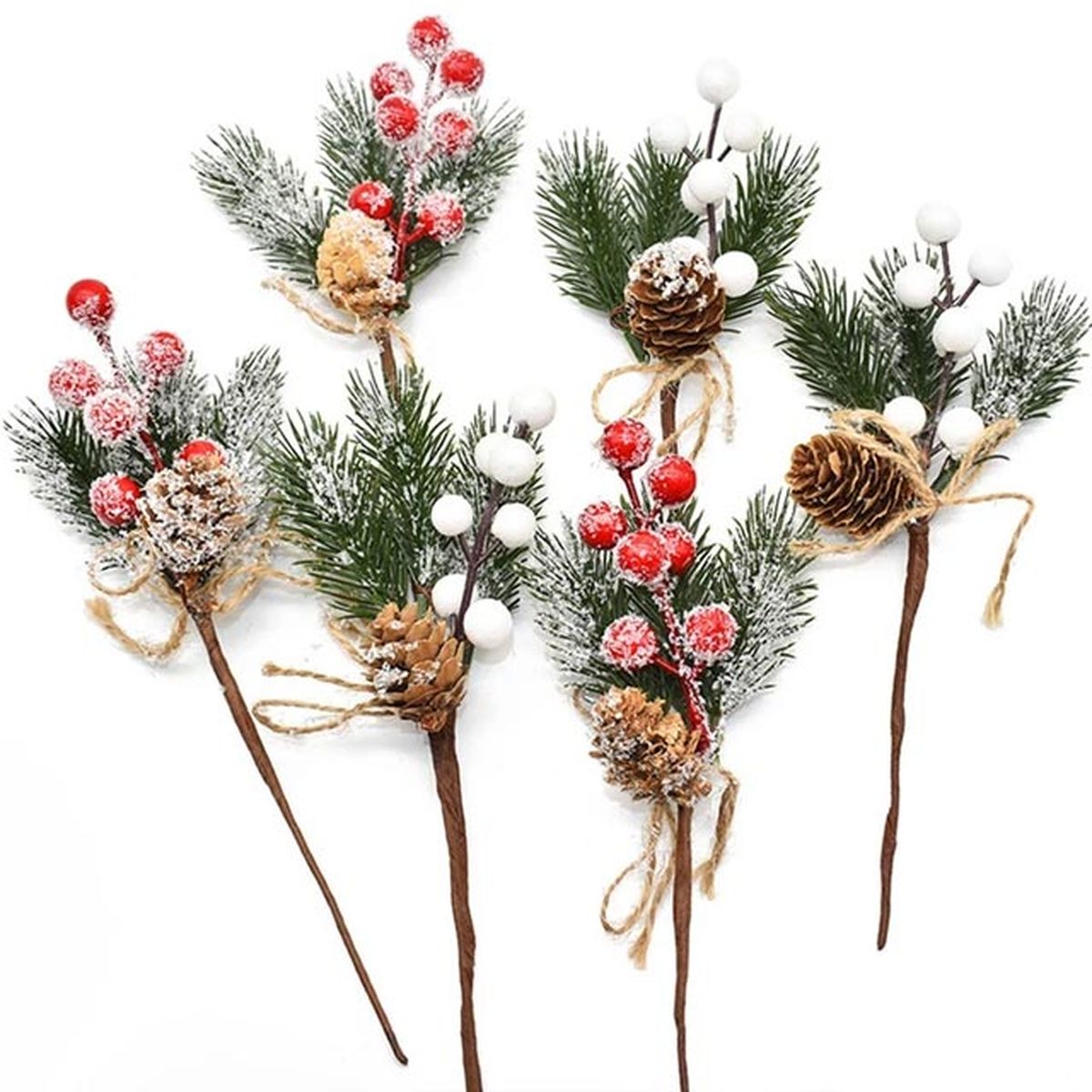 ramitos pina frutos rojos